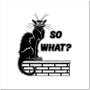 So What? - Angry Cat Cartoon Posters and Art